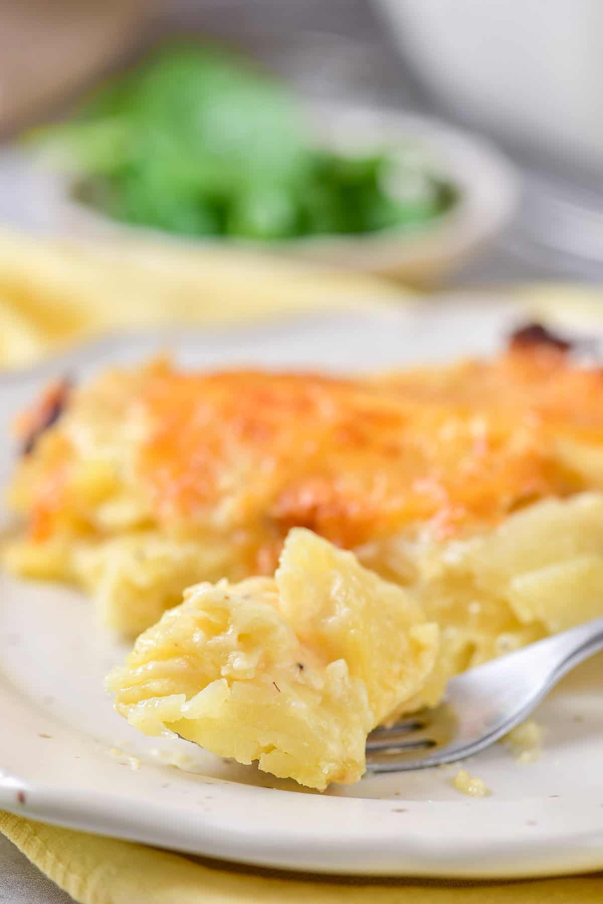 Close up of a forkful of au gratin potatoes gruyere.