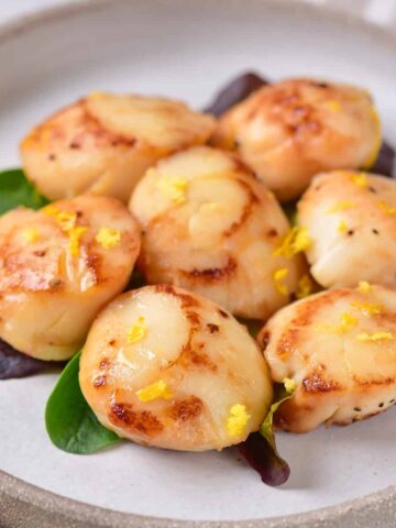 Close up of seared scallops on a plate.